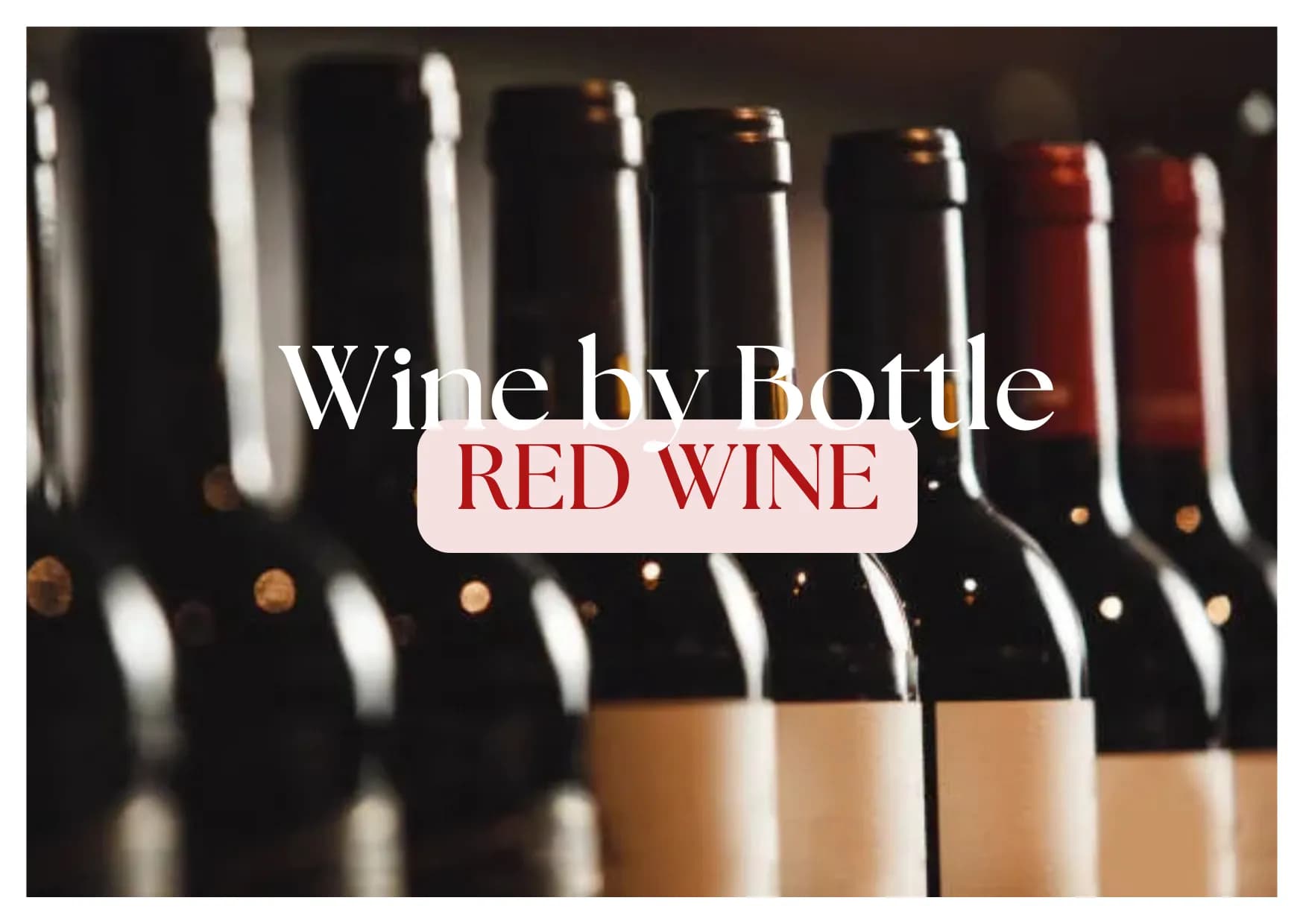 Wine by Bottle