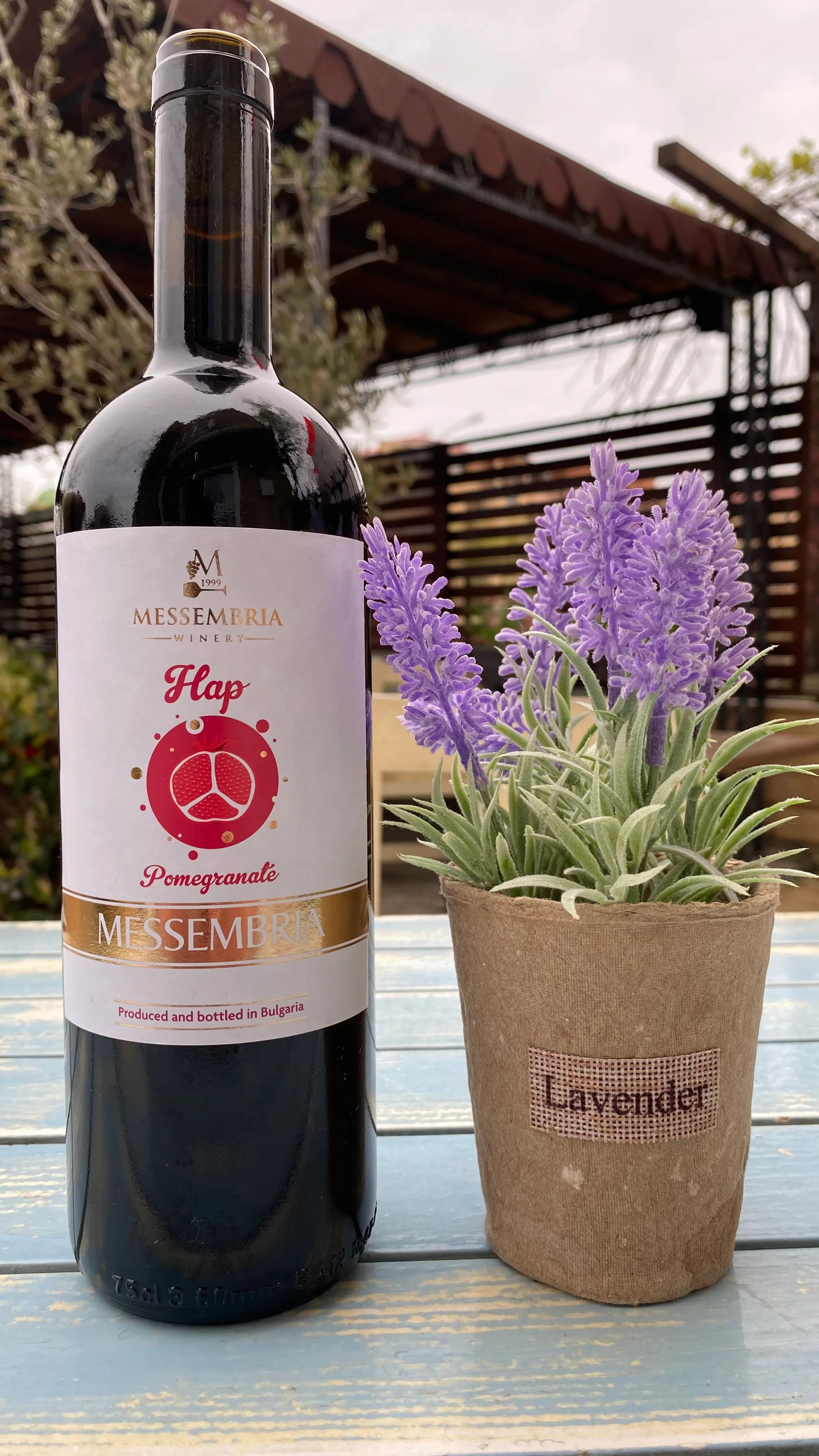 Вино Красное | Вино Червен | Wine Red 